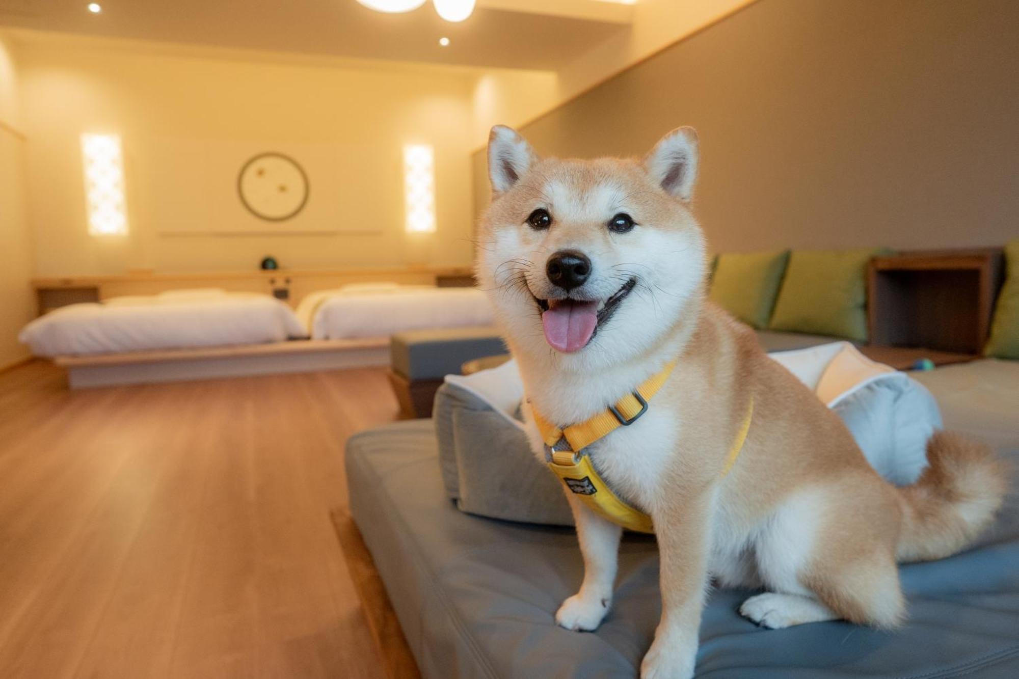 Ureshino Yadoya Hotel Екстериор снимка